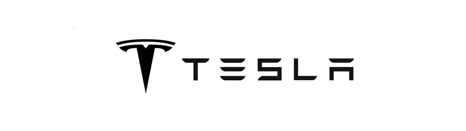 10. Tesla