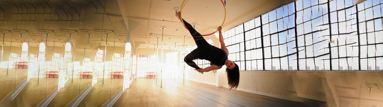 Lovely Lioness Pole Dance & Aerial Fitness #8