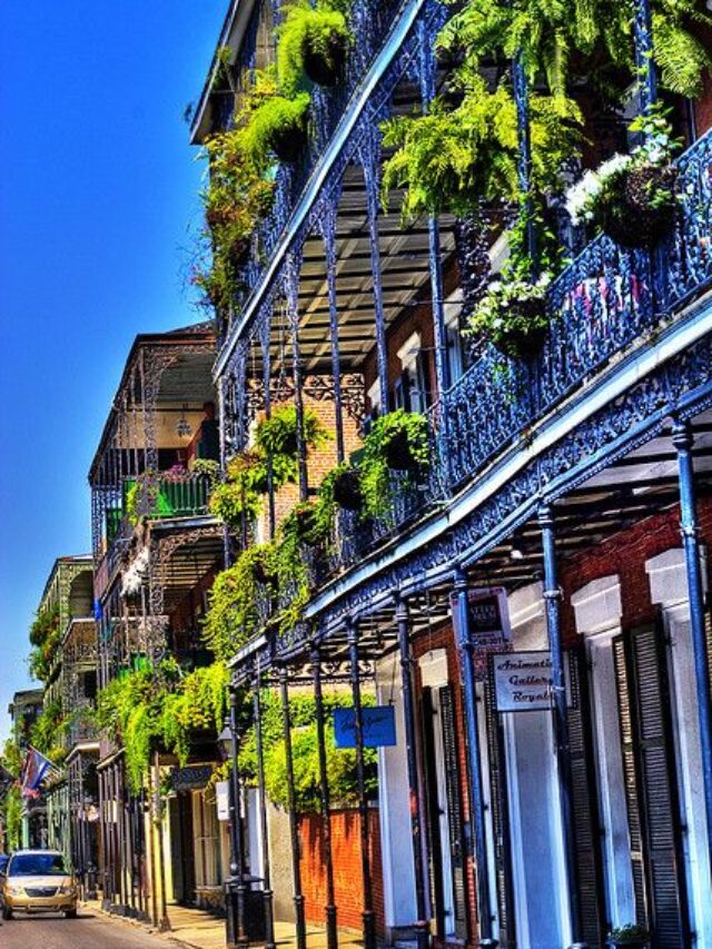 10 Best Things To Do in New Orleans