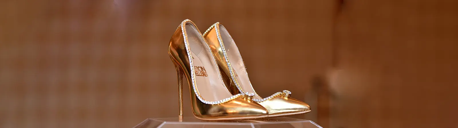 Top 10 Most Expensive Shoes In The world